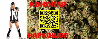 прущие крисы Тара