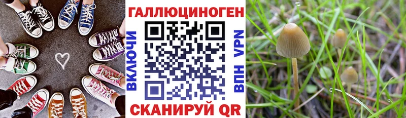 darknet формула  Ярославль  Псилоцибиновые грибы мицелий  купить наркотики цена  KRAKEN вход 