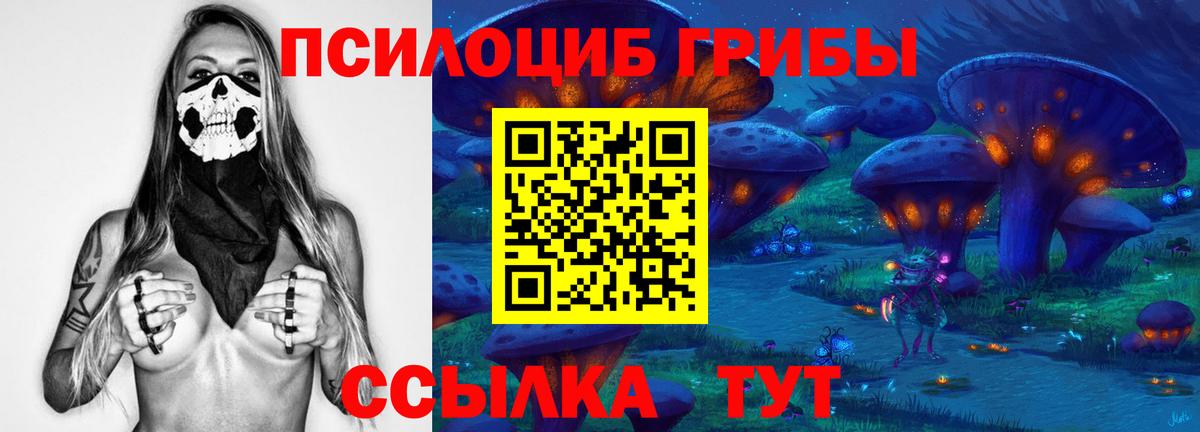 Галлюциногенные грибы GOLDEN TEACHER  Галлюциногенные грибы Psilocybine cubensis  Вход с VPN  Ярославль 