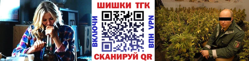 цена наркотик  Ярославль  Бошки марихуана SATIVA & INDICA 